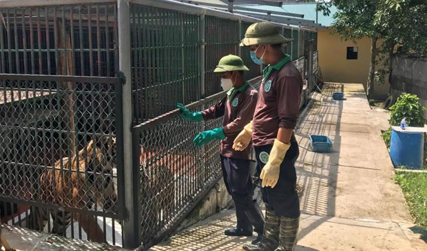 Спасены 774 особи диких животных hinh anh 1