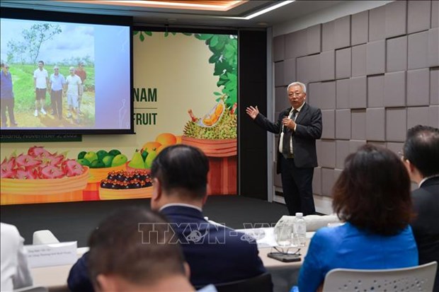 Вьетнам стремится расширить поставки местных фруктов в Таиланд hinh anh 1