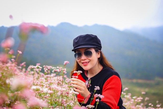 Полюбоваться красотои сезона цветения гречихи на каменном плато Хажанг. hinh anh 12