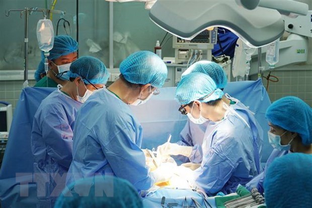 Во Вьетнаме впервые успешно провели трансплантацию кожи от донора с мертвым мозгом hinh anh 1