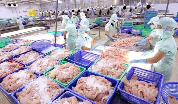 Экспорт рыбнои продукции полностью восстанавливается после COVID-19 hinh anh 1