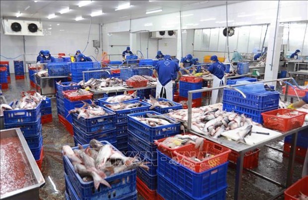 Экспорт рыбнои продукции полностью восстанавливается после COVID-19 hinh anh 2