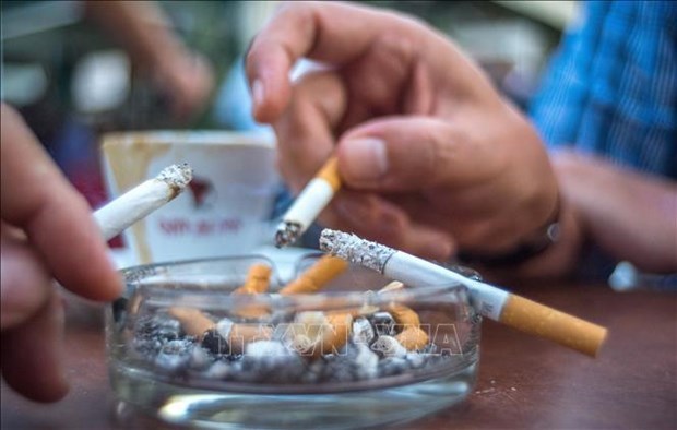 Семинар ищет меры по минимизации употребления табака hinh anh 1