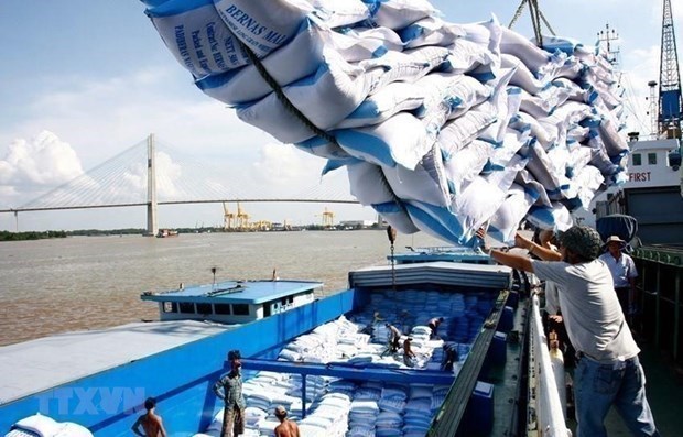 Экспорт риса из Вьетнама в этом году достигнет 7 млн. тонн hinh anh 1