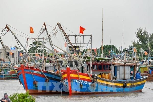 Во Вьетнаме опубликована информация о рыболовных судах, которые могли нарушить правила борьбы с ННН-промыслом hinh anh 1