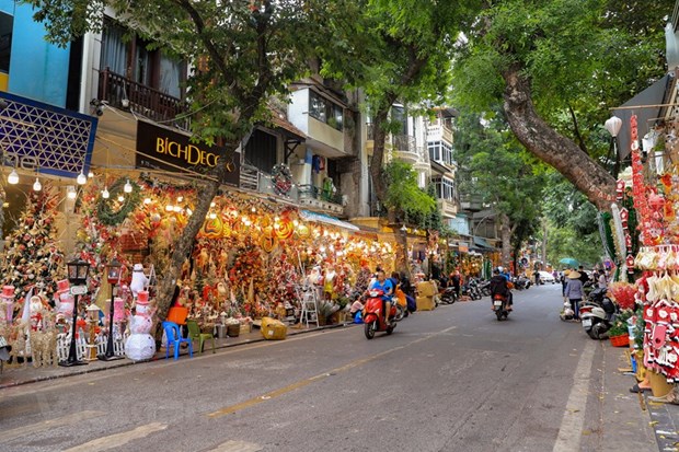 Улица Хангма полна рождественских красок hinh anh 2