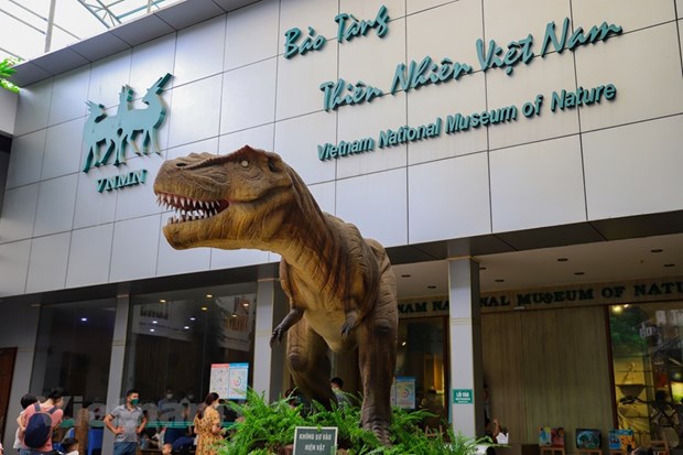 Музеи, которые туристы должны обязательно постетить, приезжая в столицу hinh anh 34