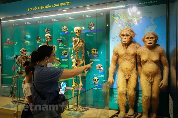 Музеи, которые туристы должны обязательно постетить, приезжая в столицу hinh anh 35