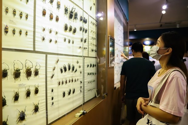 Музеи, которые туристы должны обязательно постетить, приезжая в столицу hinh anh 36