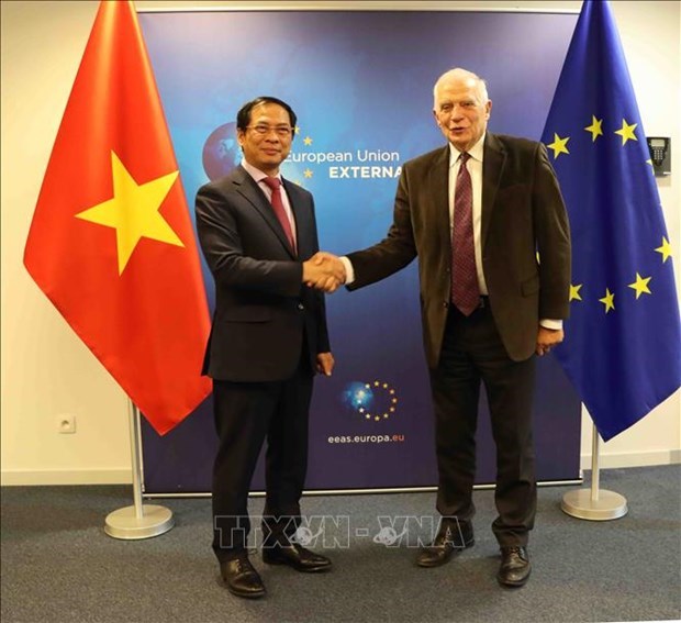 ЕС считает Вьетнам одним из важнеиших партнеров в Индо-Тихоокеанском регионе hinh anh 1