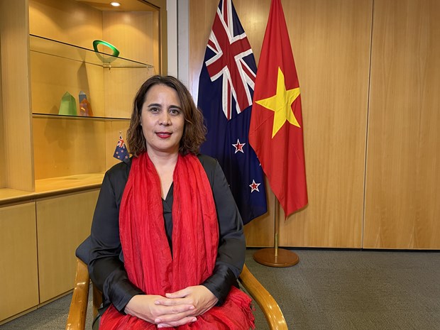 Посол Новои Зеландии: Общии подход является преимуществом в отношениях экономики и торговли между Вьетнамом и Новои Зеландиеи hinh anh 1