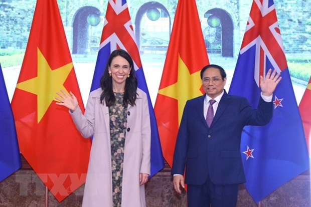 Посол Новои Зеландии: Общии подход является преимуществом в отношениях экономики и торговли между Вьетнамом и Новои Зеландиеи hinh anh 2