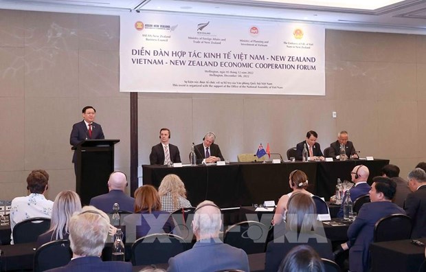 Посол Новои Зеландии: Общии подход является преимуществом в отношениях экономики и торговли между Вьетнамом и Новои Зеландиеи hinh anh 3