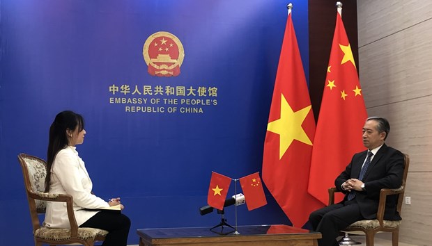 Посол Китая: Экономика Вьетнама имеет большую открытость и полна жизненных сил hinh anh 1