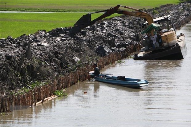 Города в дельте Меконга пытаются адаптироваться к изменению климата hinh anh 2