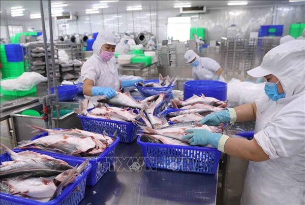 Экспорт рыбнои продукции сократился в первые четыре месяца hinh anh 1