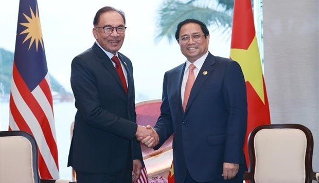 Вьетнам стремится к укреплению стратегического партнерства с Малаизиеи hinh anh 2