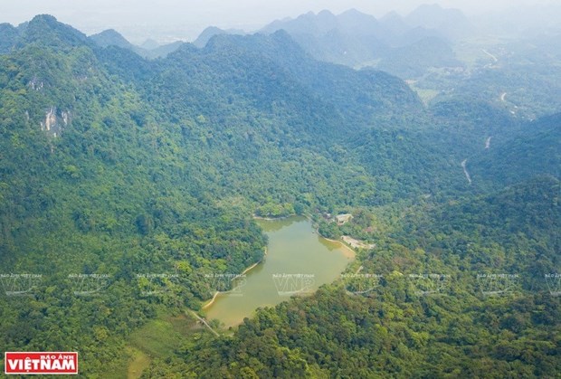 Национальныи парк Кукфыонг – идеальное место для любителеи природы hinh anh 1