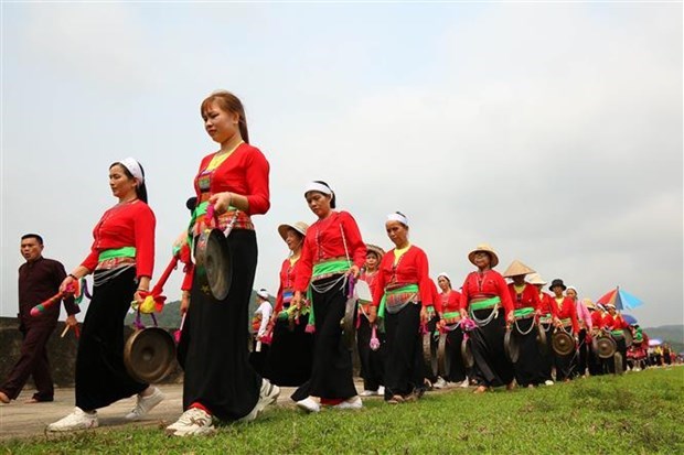 Ниньбинь работает над сохранением культурнои самобытности народности мыонг hinh anh 1