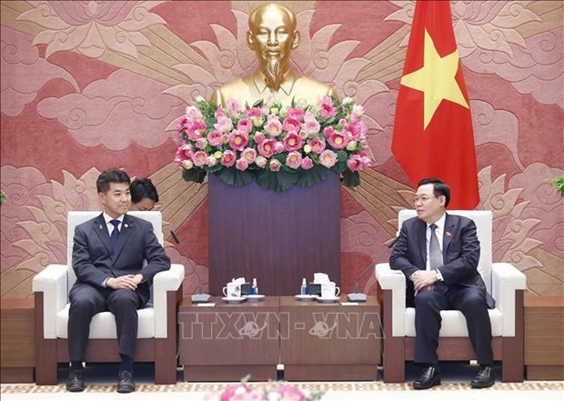 Председатель НC Выонг Динь Хюэ принял председателя Конституционно-демократическои партии hinh anh 1