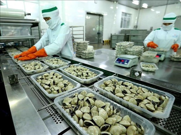 Продвижение экспорта вьетнамских моллюсков на зарубежные рынки hinh anh 1