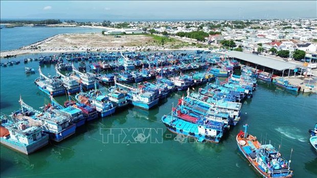 Усиление проверок эксплуатационнои деятельности в рыболовных портах hinh anh 1