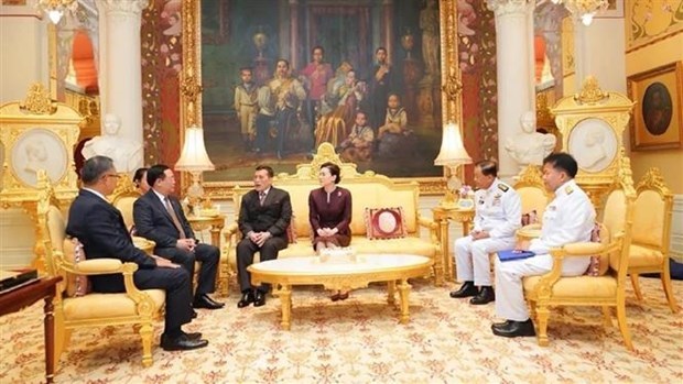 Председатель НС Вьетнама встретился с Королем Таиланда hinh anh 1