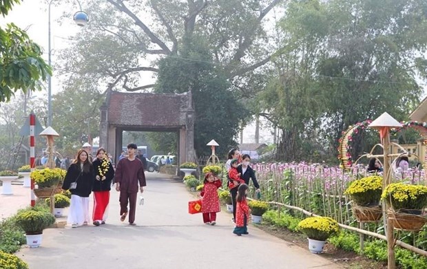 Знакомство с вьетнамским Тетом в древнеи деревне Дыонглам hinh anh 2