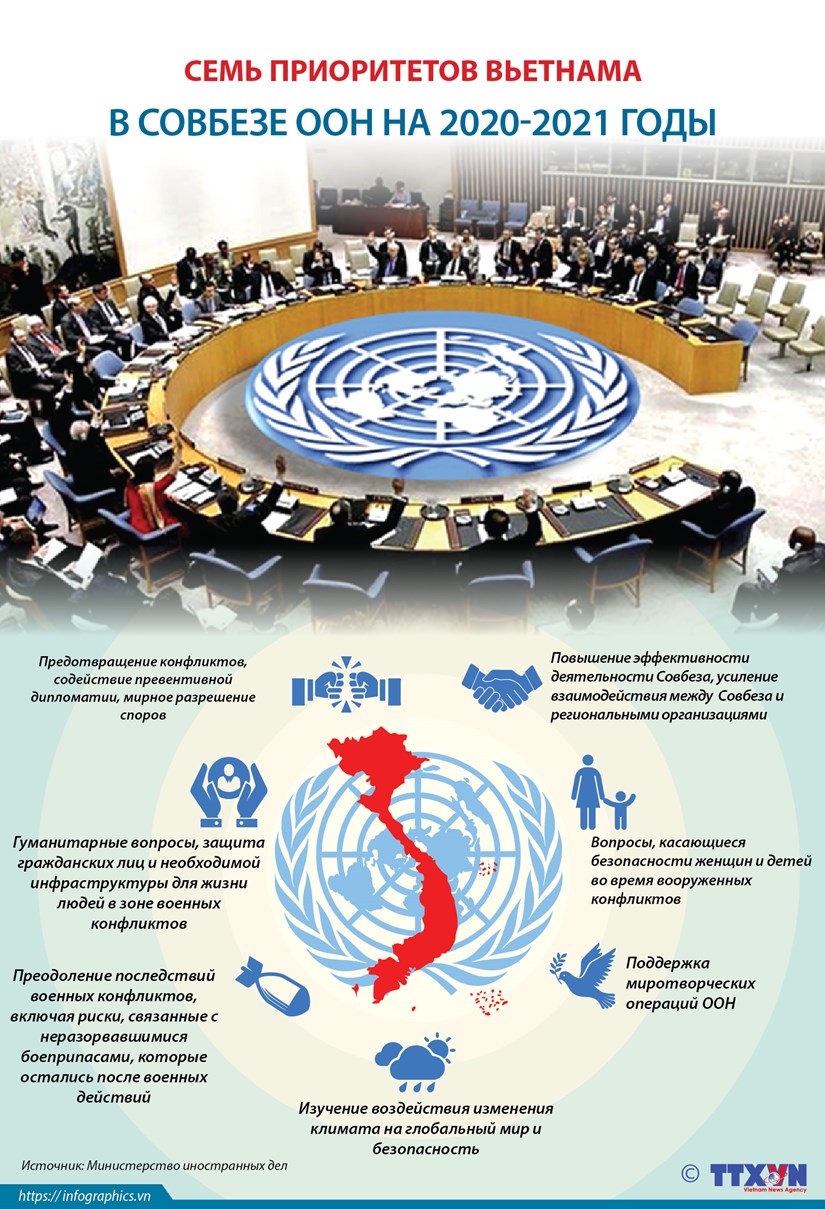 Семь приоритетов Вьетнама в Совете Безопасности ООН на 2020-2021 годы hinh anh 1