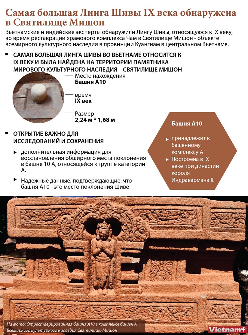Самая большая Линга Шивы IX века обнаружена в Святилище Мишон hinh anh 1
