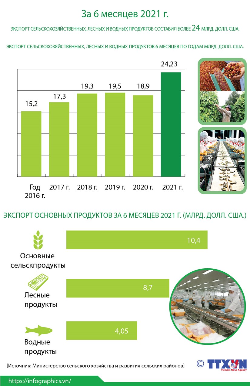 За 6 месяцев 2021 года экспорт сельскохозяиственных, лесных и водных продуктов составил более 24 млрд. долл. США hinh anh 1