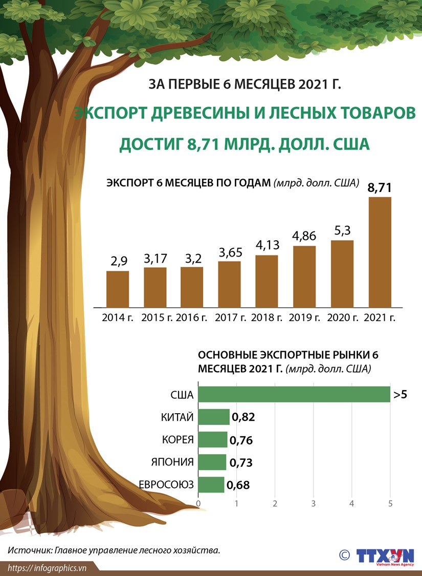 За первые 6 месяцев 2021 года экспорт древесины и лесных товаров достигл 8,71 млрд. долл. США hinh anh 1