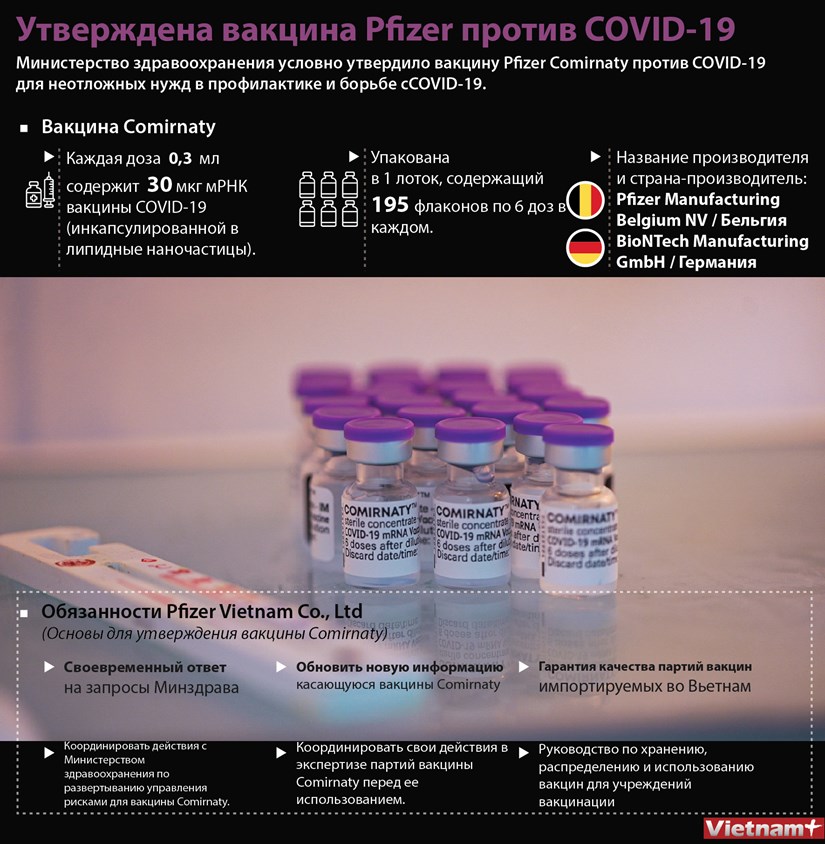 Утверждена вакцина Pfizer против COVID-19 hinh anh 1