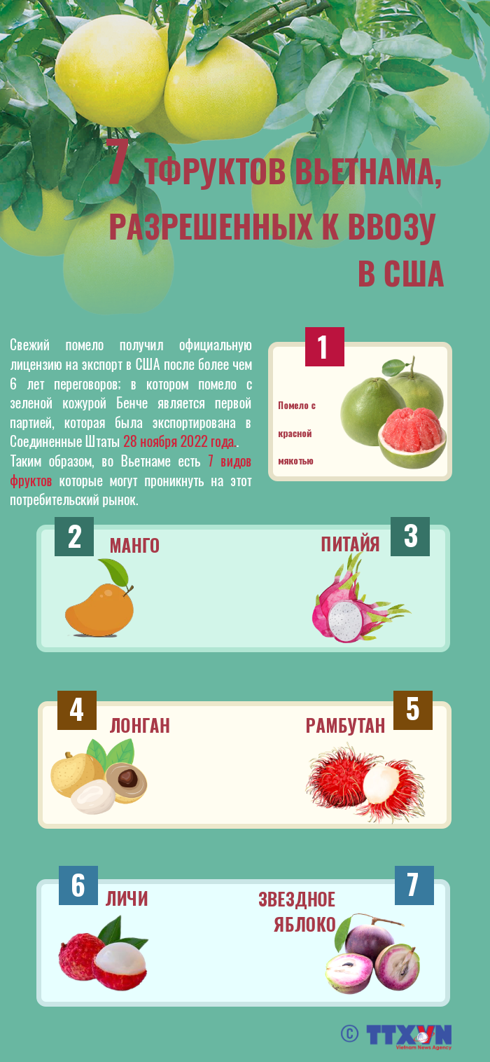 7 фруктов Вьетнама, разрешенных к ввозу в США hinh anh 1